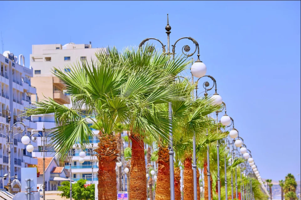 OFERTĂ SPECIALĂ – LARNACA, CIPRU 5nopți in Iunie