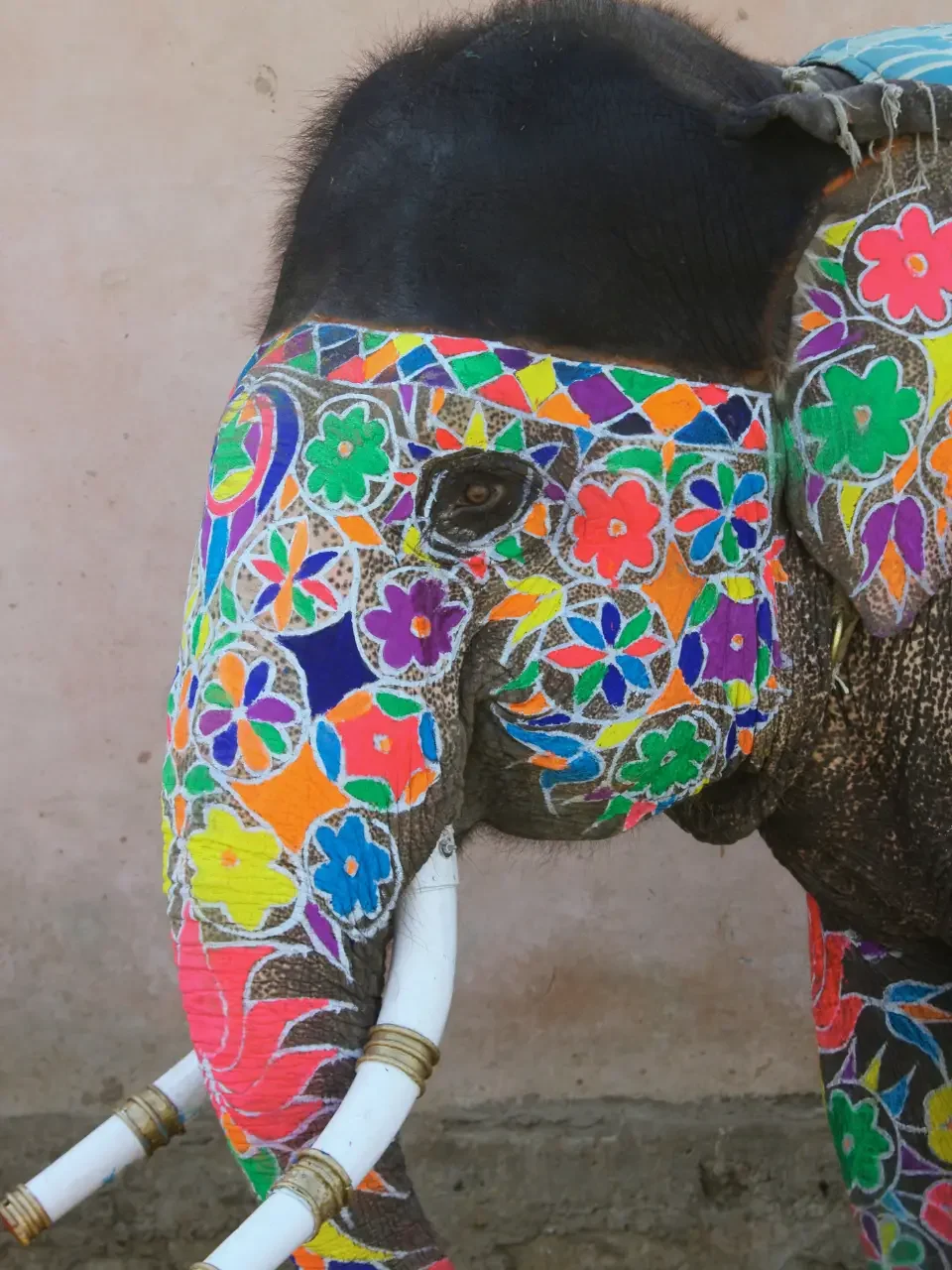 India – Thailand