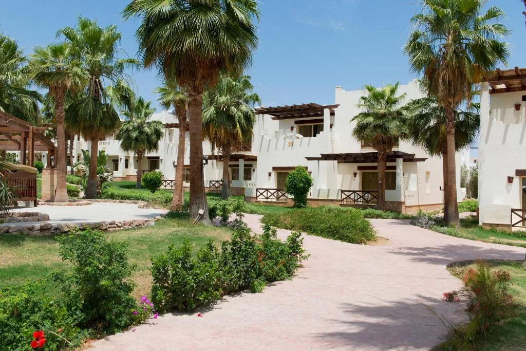 Stay in Sharm El-Sheikh, Egypt 3